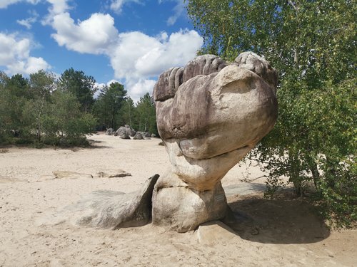 Area cover image showing a relevant boulder.